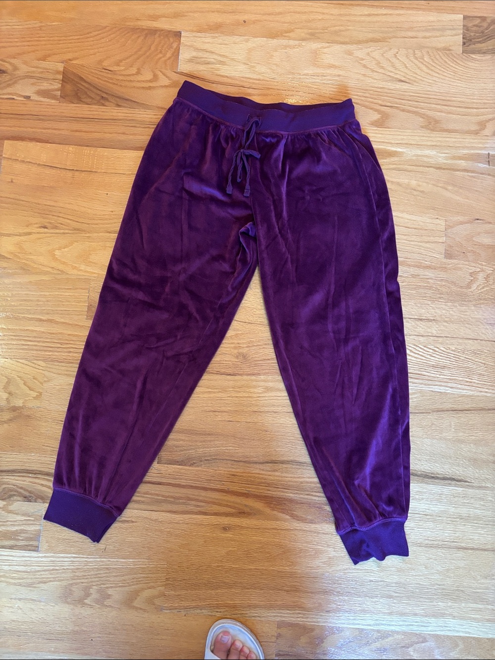 Womenswear Velvet Jogger Pants in Deep Purple